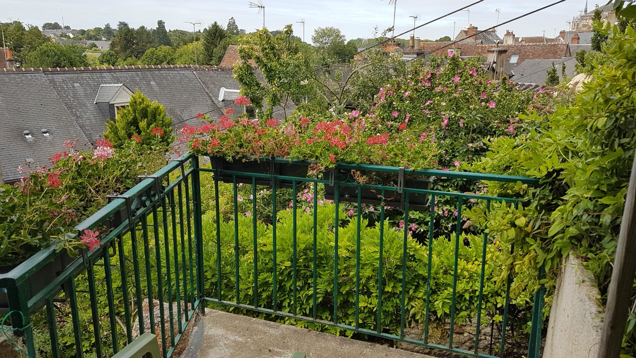 vue terrasse